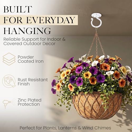 Plant Hangers Outdoor or Indoor Heavy Duty Wall Bracket Hooks (2 Count)