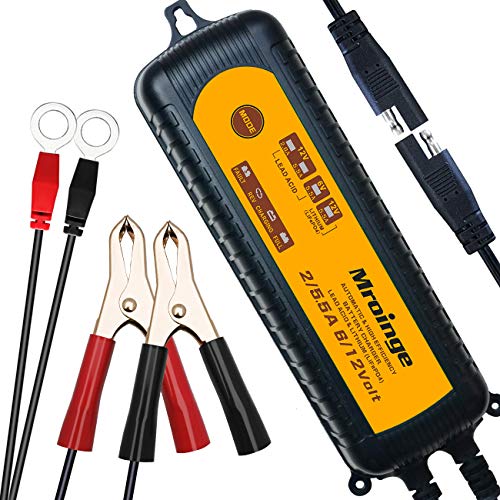 Smart Battery Charger