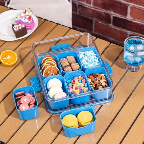 Divided Snack Serving Tray with Lid and Handle Travel Snackle Charcuterie Container Portable Storage Organizer for Candy (27.2 Ounce)