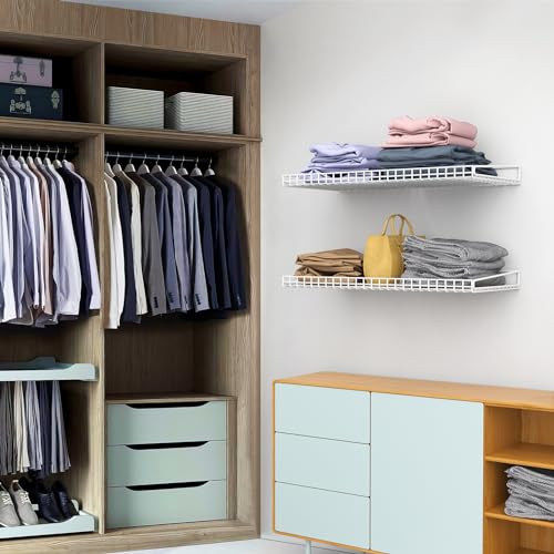 Wall Mounted Storage Shelf for Garage (2 Count)