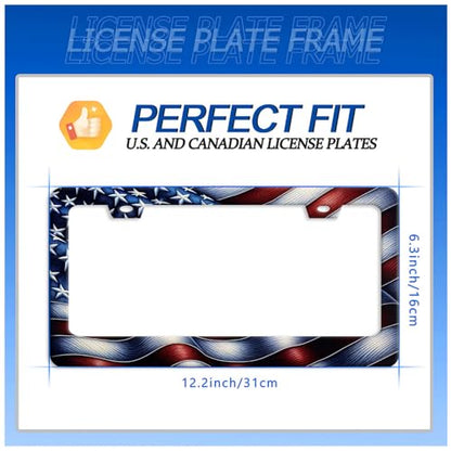 American License Plate Frame Stainless Steel Accessory 12.3 x 6.3 Inch