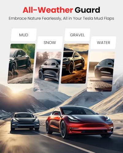 Tesla Model Y 2019 (4 Count)