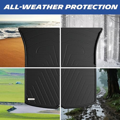 Vehicle Mat for 2025