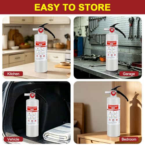 2 Pack ABC Fire Extinguishers with Mount (2 Count)