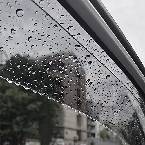 Window Visors Rain Guards for 2009 (4 Count)