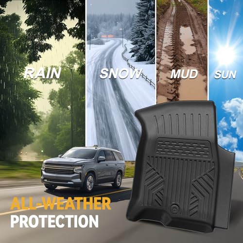 Floor Mats for 2021
