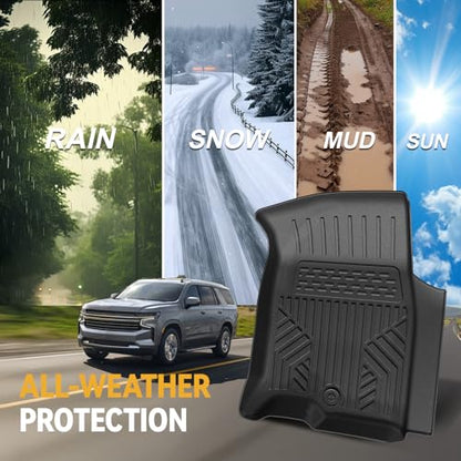 Floor Mats for 2021