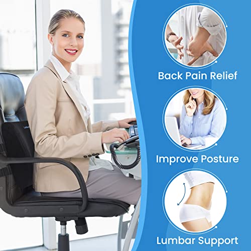 Lumbar Support Pillow for Office Chair Back Support Lumbar Pillow for Car