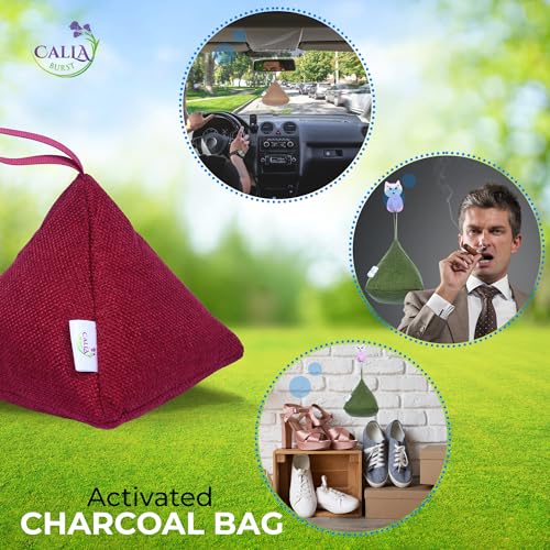 4 Pack Bamboo Charcoal Air Purifier Bags 200 Grams Each (28.2 Ounce)