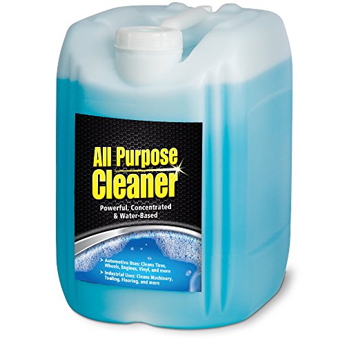 A538PL 5 Gallon Concentrated All Purpose Cleaner Powerful Water (640 Fl Oz)