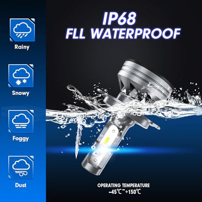 H4 Light Bulb (2 Count)