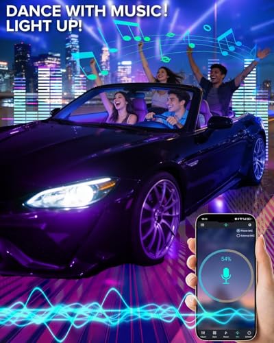 Car Interior LED Lights (4 Count)