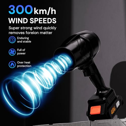 Turbodry Cordless Car Dryer Blower