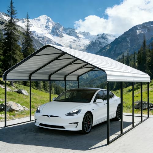 12x20 ft Heavy Duty Metal Carport with Vertical Roof Design