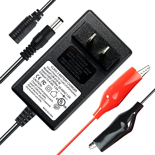 12V 1A Smart Charger for Lithium LiFePO4 Deep Cycle Rechargeable Batteries