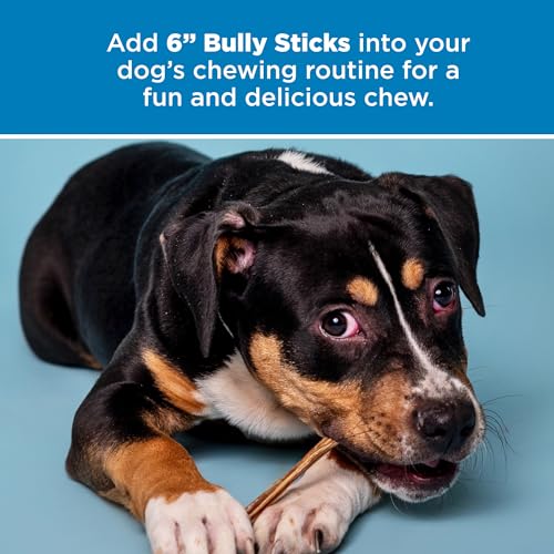 6 Inch Bully Sticks (25 Count)