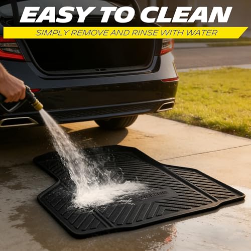 Vehicle Mat for 2025