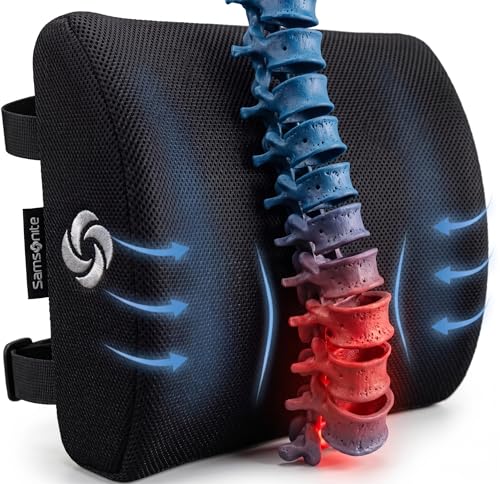 Lumbar Support Pillow for Office Chair