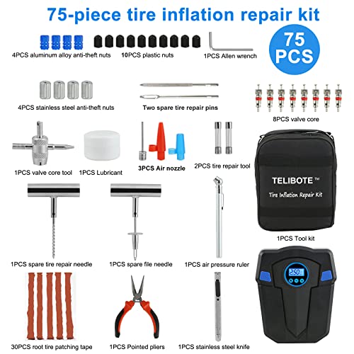 Tire Repair Kit