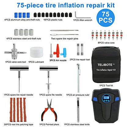 Tire Repair Kit