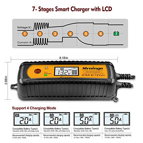 Smart Battery Charger