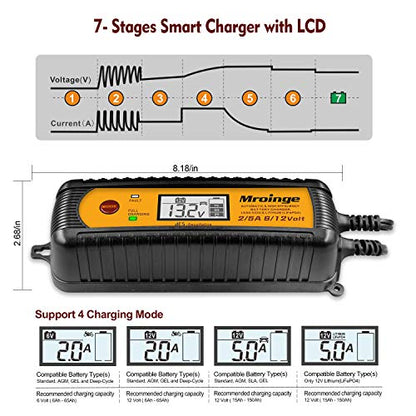 Smart Battery Charger