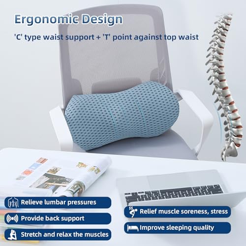 Lumbar Pillow