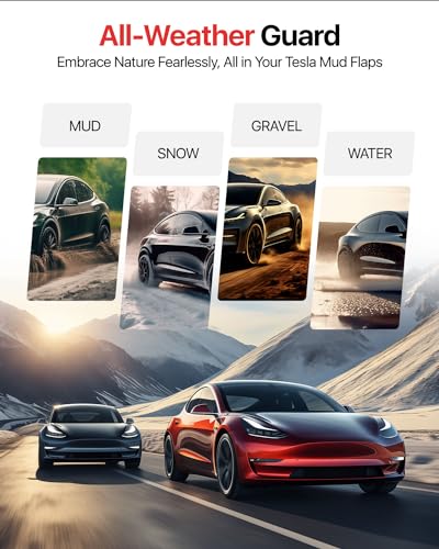 Tesla Model X 2022 (4 Count)