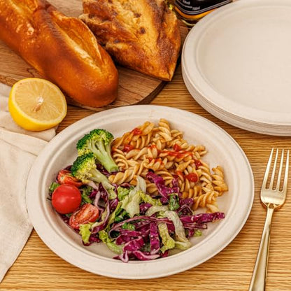 Paper Plates 9 Inch 125 (125 Count)