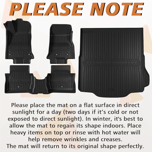 Floor Mats & Trunk Mat for 2026 2025 2024 Dodge Charger EV