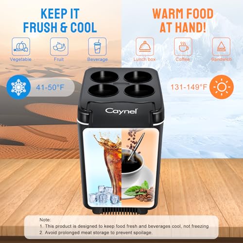 12V 6 Quart Personal Thermoelectric