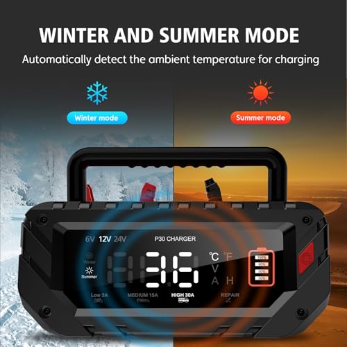 30 Amp Lithium Battery Charger