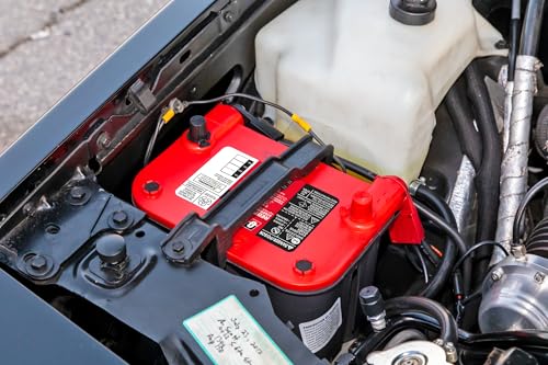 Batteries High Performance 6V REDTOP® Sealed AGM 6V Battery