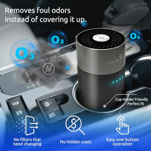 Ozone Generator for Car Odor Removal