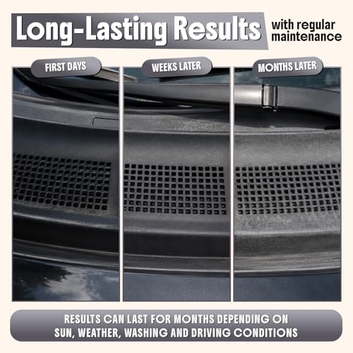 Ultimate Trim & Plastic Restorer for Cars