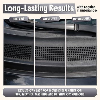 Ultimate Trim & Plastic Restorer for Cars