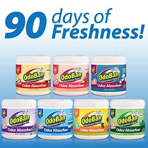 Solid Odor Absorber Eliminator for Home and Small Spaces (42 Ounce)
