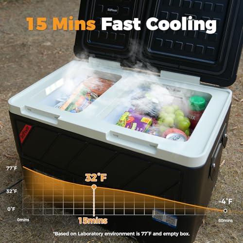 12v Refrigerator with APP Control