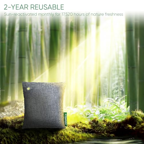 Activated Charcoal Odor Absorber