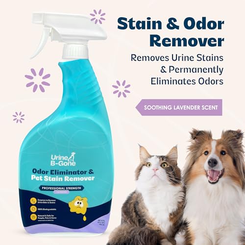 Urine B Gone Enzyme Cleaner for Human (32 Fl Oz)
