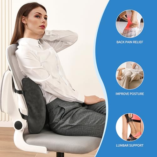 Lumbar Support Pillow for Office Chair