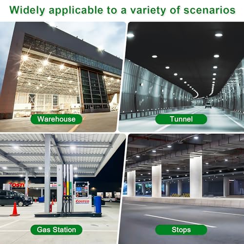 LED Canopy Garage Light 30W