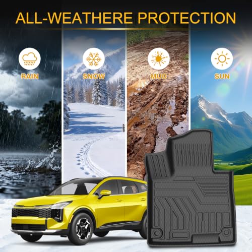Floor Mats for 2015