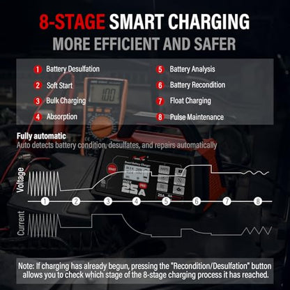 25A Max Pro Battery Charger
