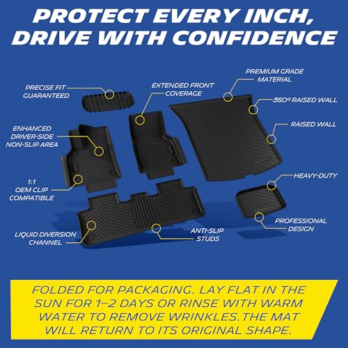 Vehicle Mat for 2025