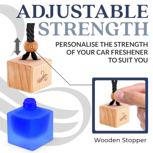 Car Air Freshener for Men