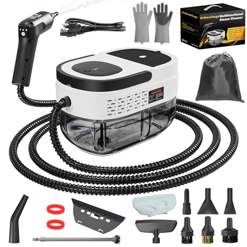 Handheld Steam Cleaner for Home