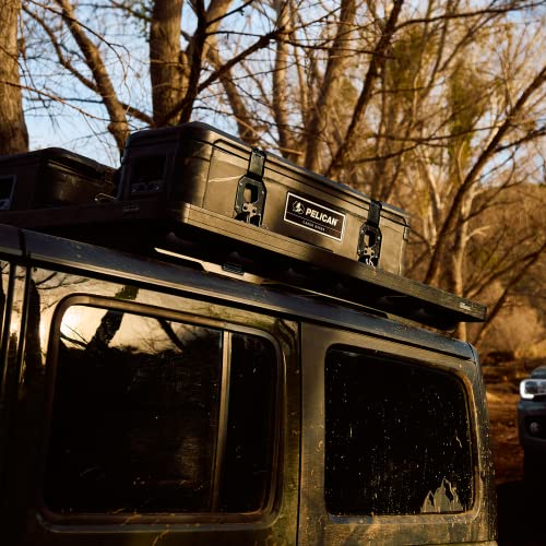 Cargo Case BX55S