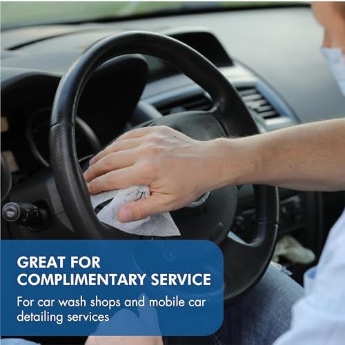 Car Wash Wipes (50 Count)