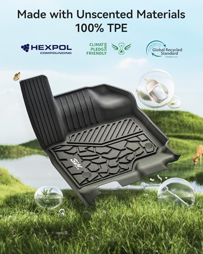 Floor Mats & Cargo Liner & Backrest Mat for 2025
